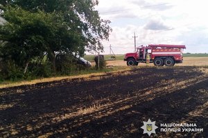 Жорстока правда: як небезпечне спалювання стерні вбиває людей на Рівненщині 8