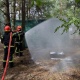 Правоохоронці провели спільні тренування на Київщині 18