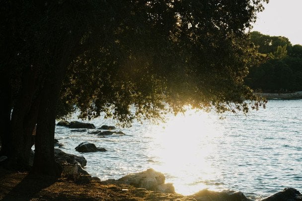 Folk omens July 31 / © pexels.com
