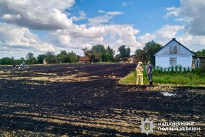 Жорстока правда: як небезпечне спалювання стерні вбиває людей на Рівненщині 7