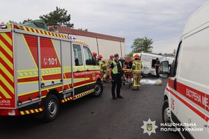 Неймовірна ДТП на Миколаївщині: водій спричинив трагедію з 12 жертвами 14