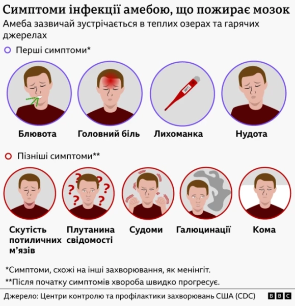 Крихітна істота, що "їсть" мозок і має потенціал глобального поширення. 11 графіка