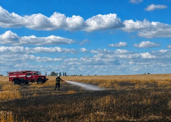 На Житомирщині через російський обстріл зайнялися посіви.