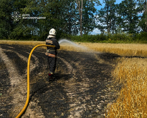 На Житомирщині через атаку росіян згоріло поле з пшеницею 3