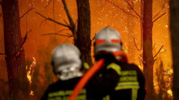 Пожежники гасять полумʼя в лісі за 30 км від французького міста Бордо