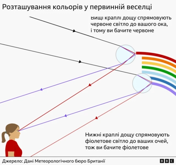  Графіка, що показує розташування кольорів у первинній веселці: червоний видно у вищих краплях дощу, фіолетовий - у нижчих, а помаранчевий, жовтий, зелений, блакитний і індиго розташовані між ними.
