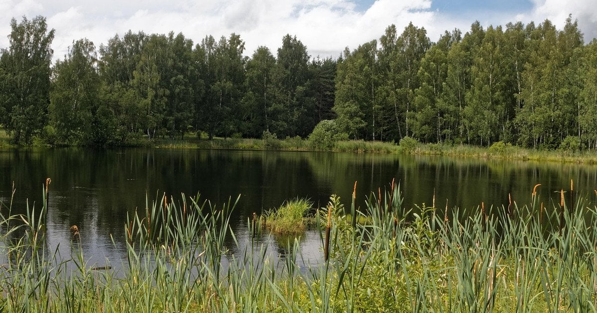 Синоптична ситуація розділить країну на спекотну і дощову зони