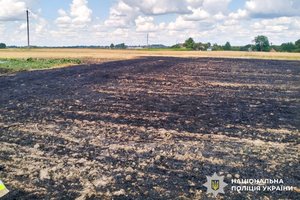 Жорстока правда: як небезпечне спалювання стерні вбиває людей на Рівненщині 10
