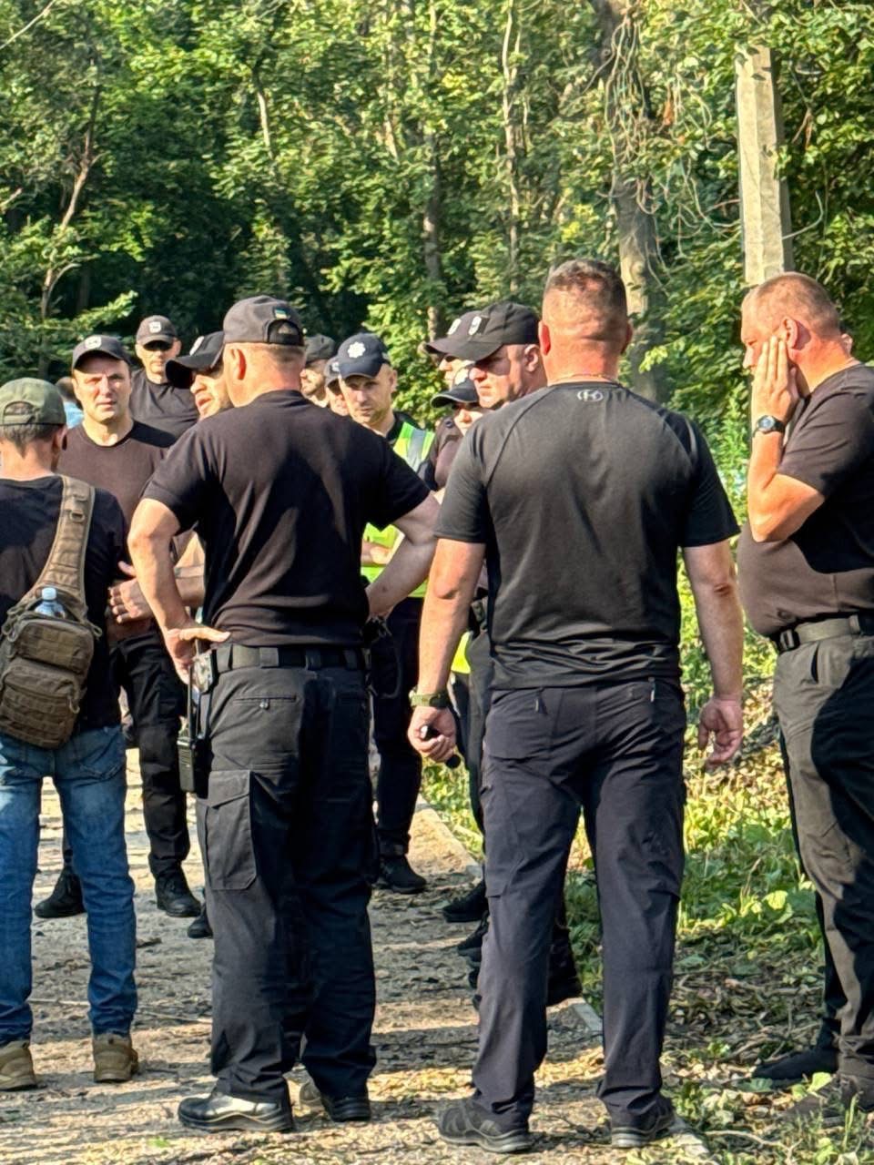 Під час війни: Київзеленбуд незаконно рубає 600 дубів на Теремках 12