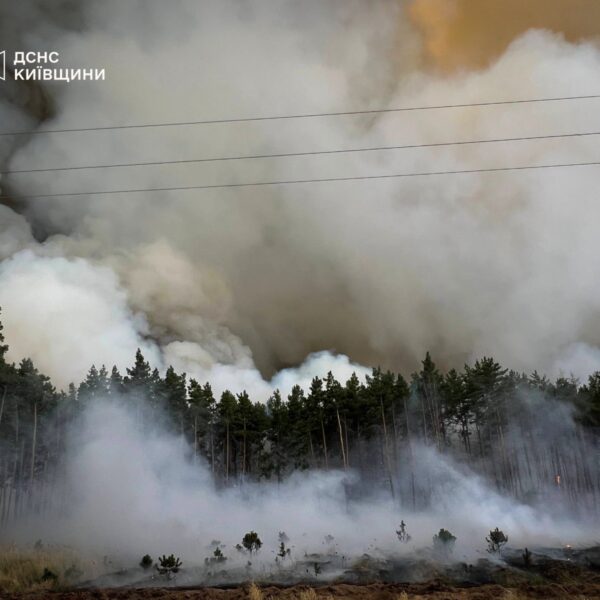 Поблизу Києва палає лісовий масив, полум’ям охоплено великі площі (відео)