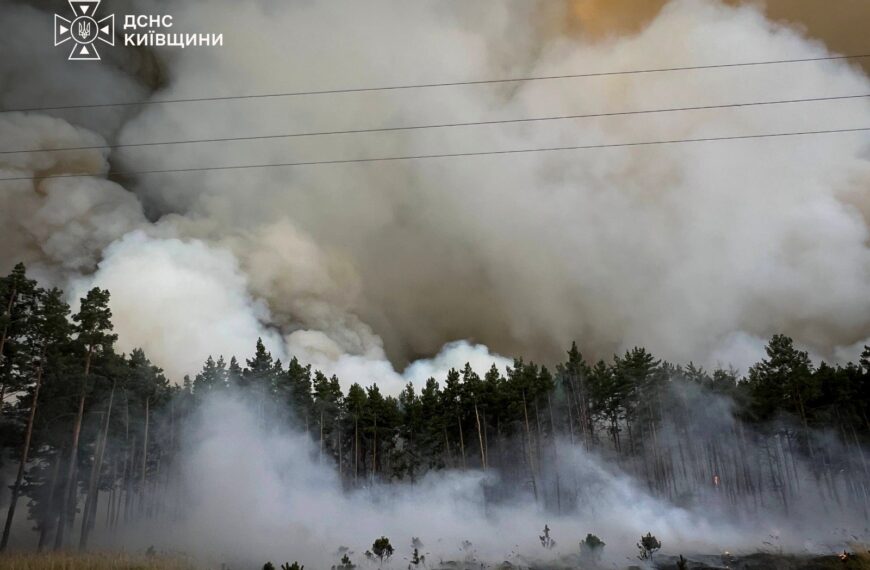 Поблизу Києва палає лісовий масив, полум’ям охоплено великі площі (відео)