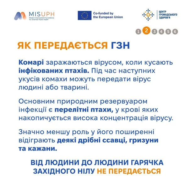  Застереження щодо гарячки Західного Нілу. Фото: Центр громадського здоров’я України / © Facebook