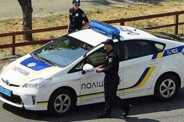 Три причини для поверхневого огляду автомобіля поліцією: коли водій безпорадний 9 Патрульна поліція, кадр з відео