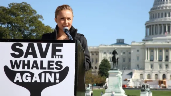 Гейден Панеттьєр виступає на пресконференції кампанії "Save The Whales Again" 26 жовтня 2008 року у Вашингтоні.