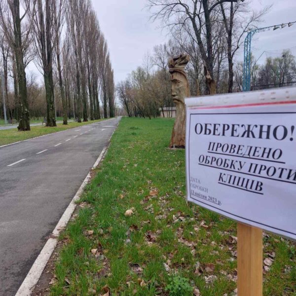 Київські кліщі: понад 40% переносять хворобу Лайма