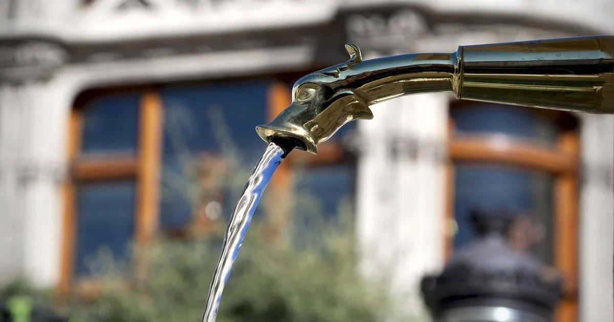 Water