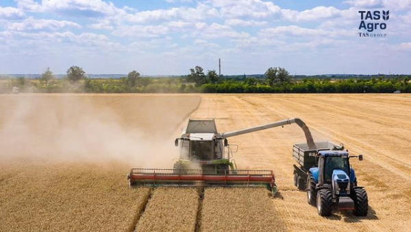 “ТАС Агро” завершило збір ранніх зернових та олійних культур на 33,5 тисячах гектарів.