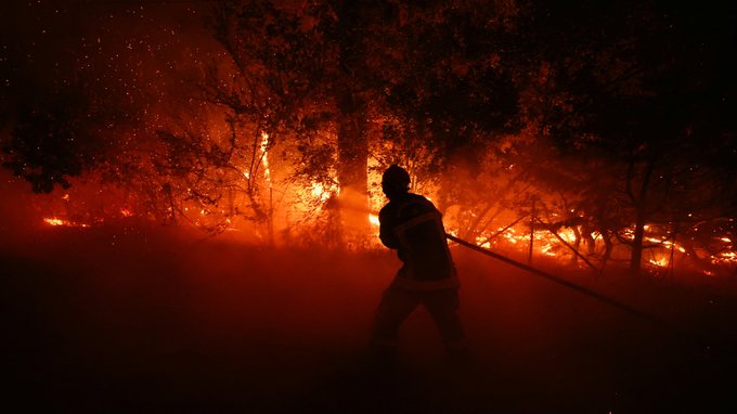 У Франції затримали 420 осіб за підозрою у лісових пожежах 2