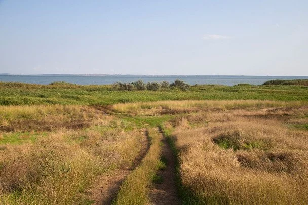 Яке релігійне свято відзначається в Україні 31 серпня 2 Народні прикмети 31 серпня / © pexels.com