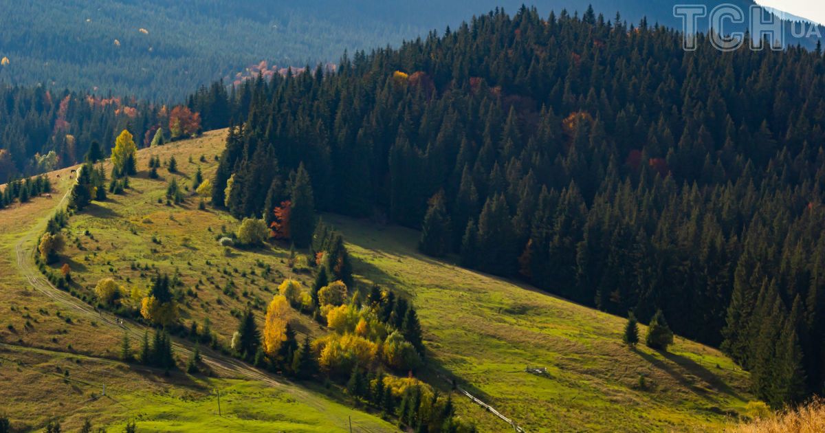 Землетрус у Карпатах