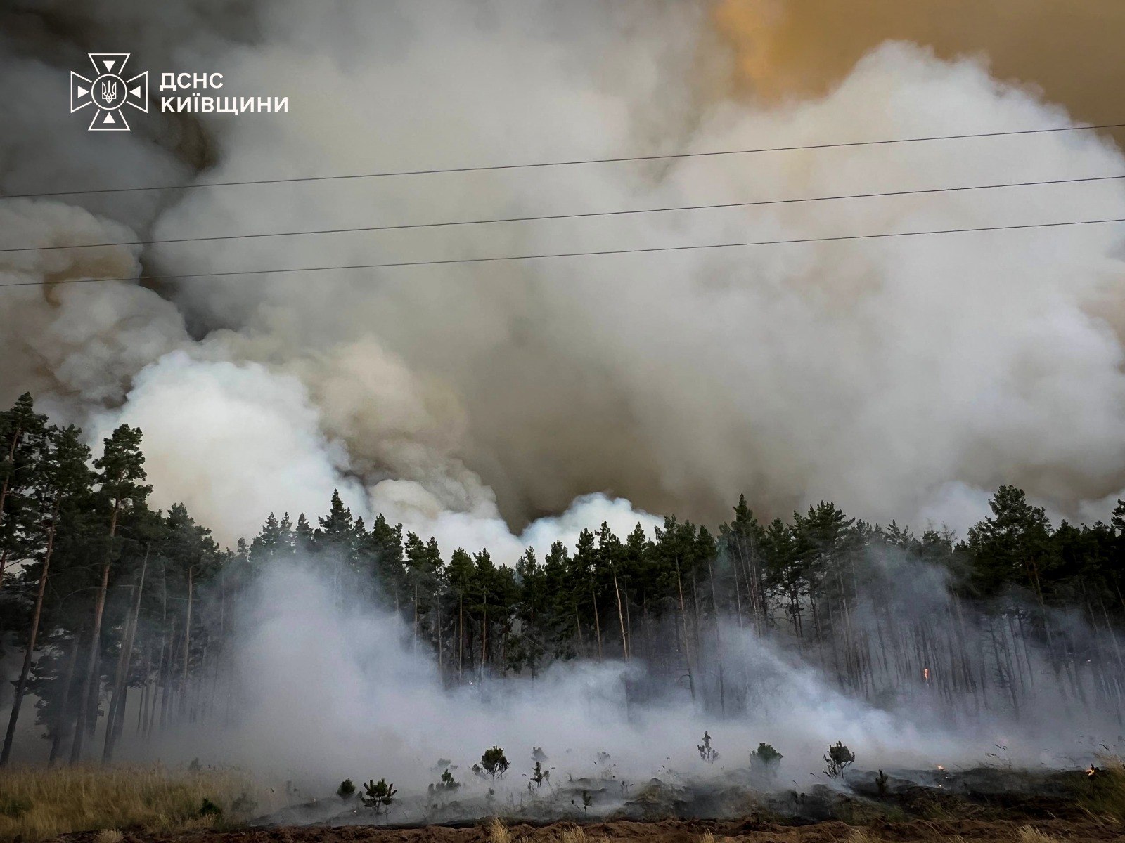 Поблизу Києва палає лісовий масив, полум'ям охоплено великі площі (відео) 10
