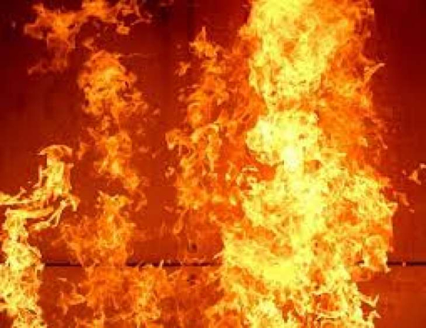 Гай-Фен у вогні: безпрецедентна пожежа спонукала бельгійську владу до евакуації місцевих жителів та відпочивальників