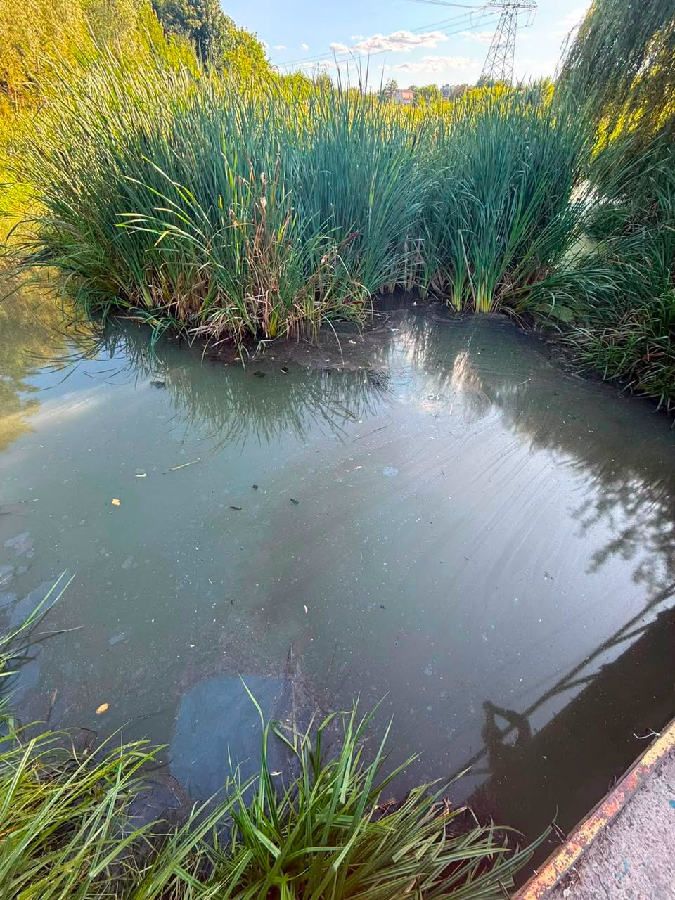 Збитки довкіллю від забруднення водойм у Борщагівській громаді сягнули 36,5 млн грн