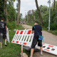 Знесення вікових дерев для тепломережі на Теремках: правоохоронці стверджують, що роботи легальні 16