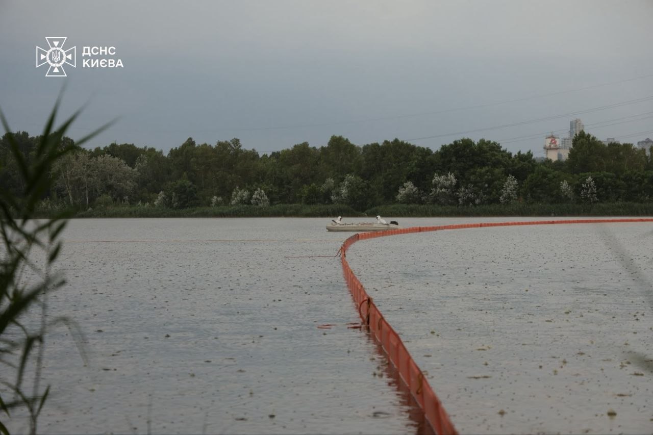 У водоймі Кирилівського озера, що постраждала від обстрілів, зникає усе живе — яким чином намагаються врятувати цей водний об'єкт 17