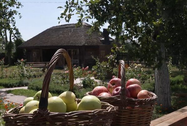 Музей Олександра Довженка безкоштовно ділиться врожаєм з гостями