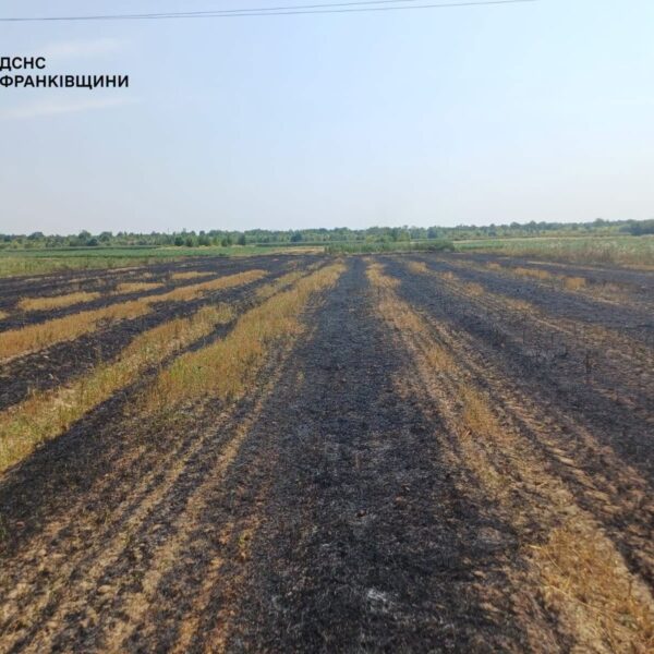 На Прикарпатті трагічно загинув чоловік через займання сухої трави