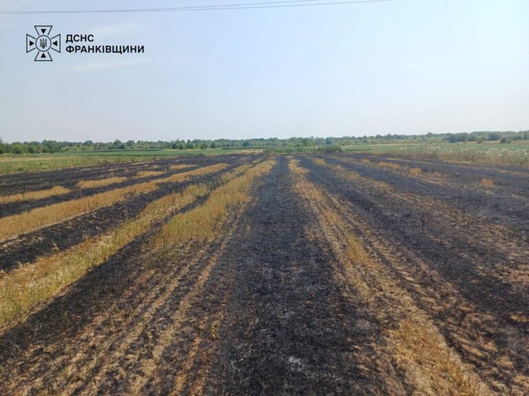На Прикарпатті трагічно загинув чоловік через займання сухої трави 20