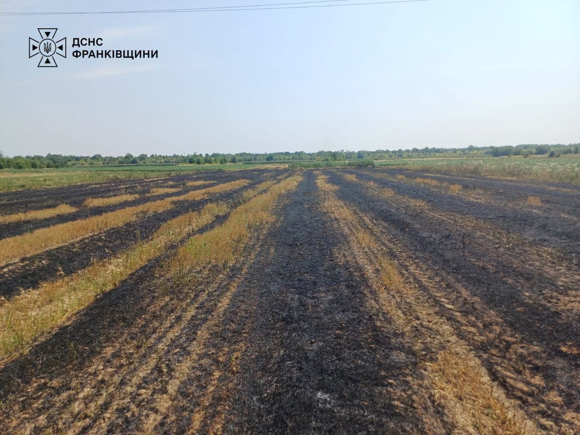На Прикарпатті трагічно загинув чоловік через займання сухої трави 2