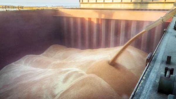 Уряд змінив найнижчі дозволені експортні вартості для певної сільськогосподарської продукції. 3