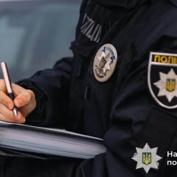 На Прикарпатті чоловік застрелив сусідського кота: деталі інциденту