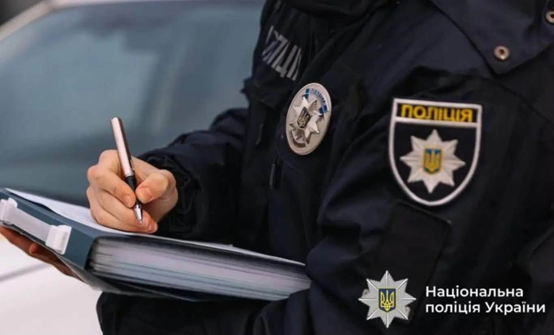На Прикарпатті чоловік застрелив сусідського кота: деталі інциденту 2
