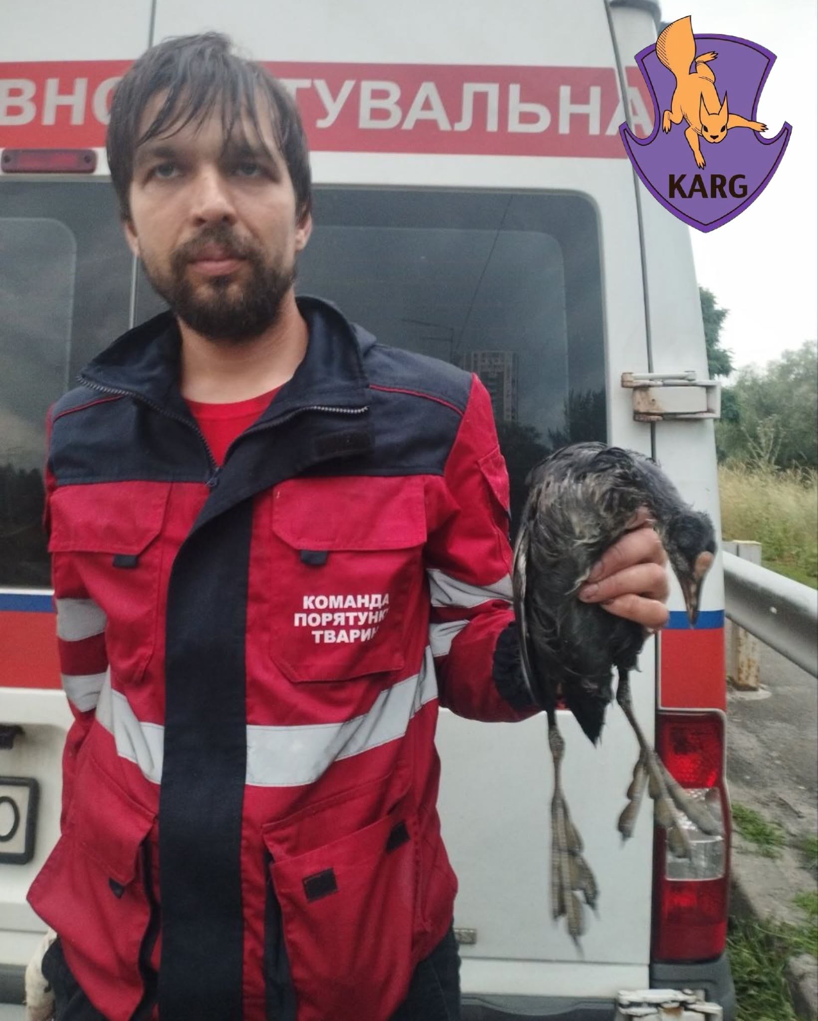 На Оболоні допомагають пернатим та звірам із водойми, що постраждала від мазуту внаслідок обстрілів. 14