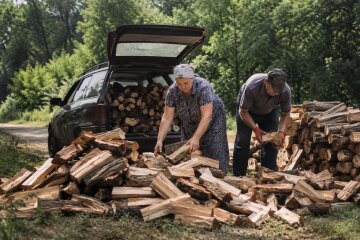 Дрова для опалення: ціни та де купити