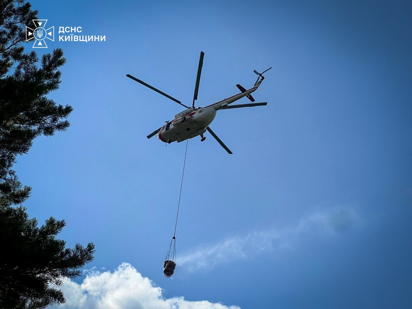 Поблизу Києва палає лісовий масив, полум'ям охоплено великі площі (відео) 14