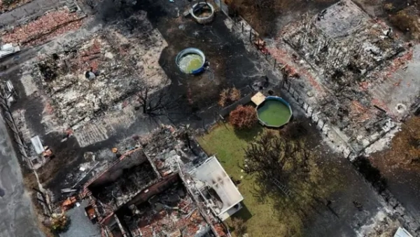 У Франції під час лісових пожеж знайшли сотні боєприпасів часів Другої світової війни. 5 руїни будинку