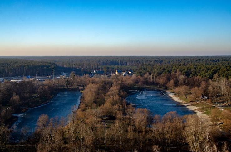 Загибель риби, черепах та ондатр: хто несе відповідальність за спустошення Синього озера на масиві Виноградар 19