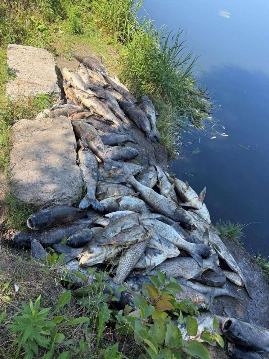 Виявлене джерело забруднення водойм Борщівської громади ліквідовано 7 Виявлене джерело забруднення водойм Борщівської громади ліквідовано 2