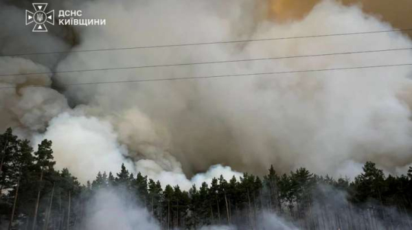 На Київщині лісове займання простяглося на кілометри