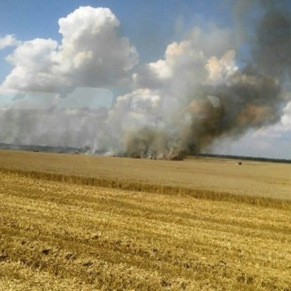 Українське поле під прицілом: як ворог руйнує врожаї та родючість земель