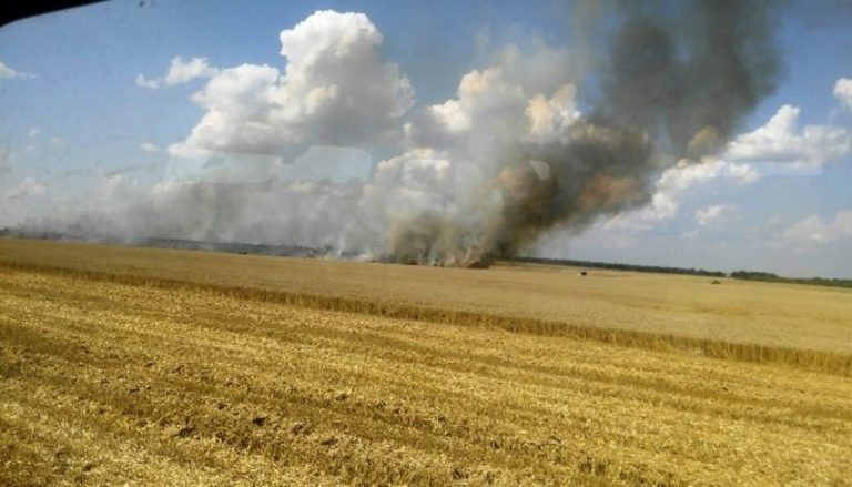 Українське поле під прицілом: як ворог руйнує врожаї та родючість земель 14