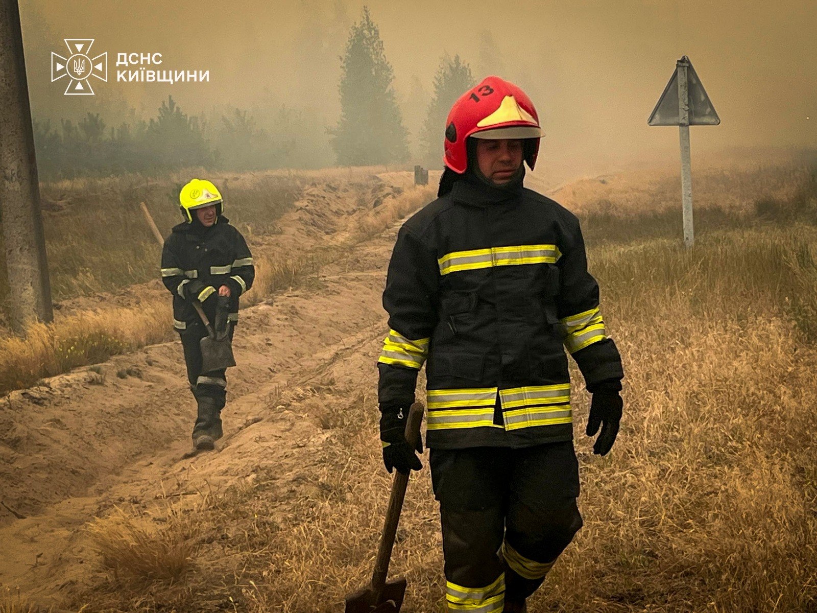 Поблизу Києва палає лісовий масив, полум'ям охоплено великі площі (відео) 13