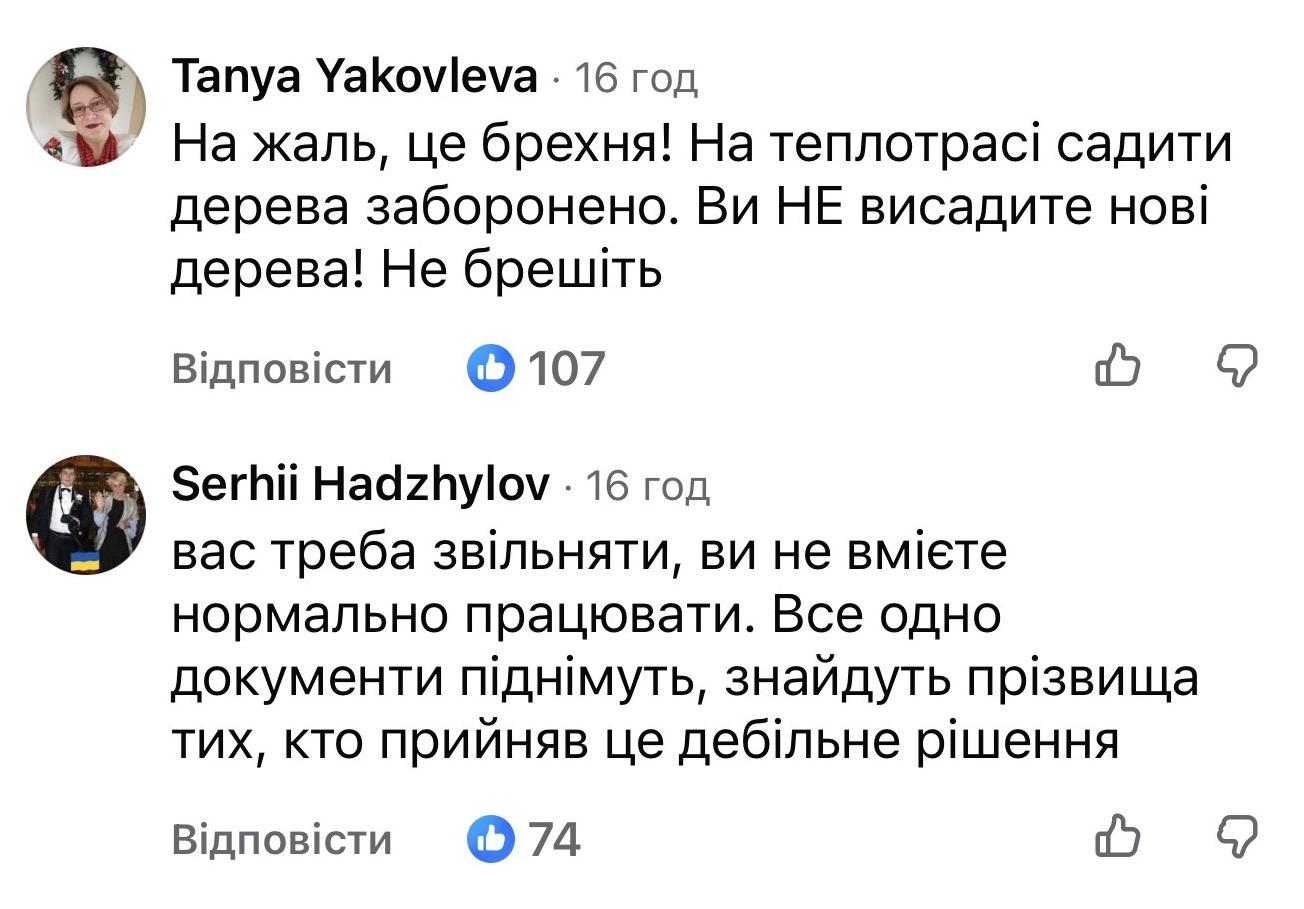 Під час війни: Київзеленбуд незаконно рубає 600 дубів на Теремках 14