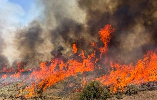 У Сполучених Штатах та Канаді охопили лісові пожежі, що спричиняє масову евакуацію населення.