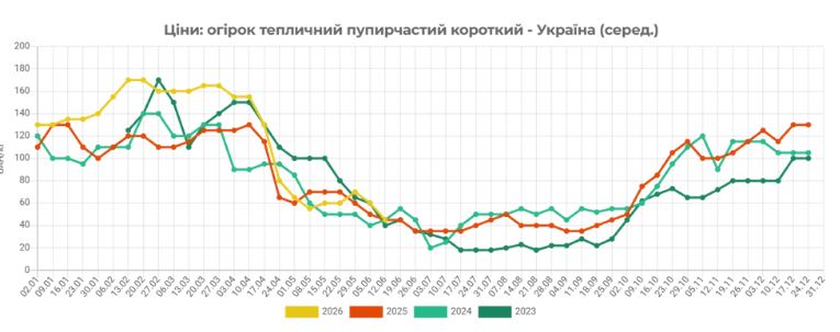 Огірковий сезон: ціни впали, споживачі в очікуванні. 5