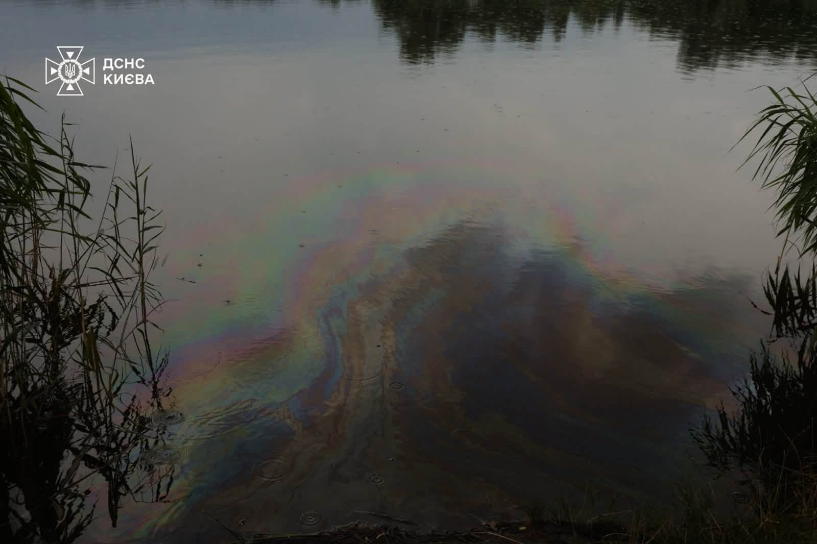 У водоймі Кирилівського озера, що постраждала від обстрілів, зникає усе живе — яким чином намагаються врятувати цей водний об'єкт 22